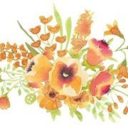 chrysanthemumgarden.com